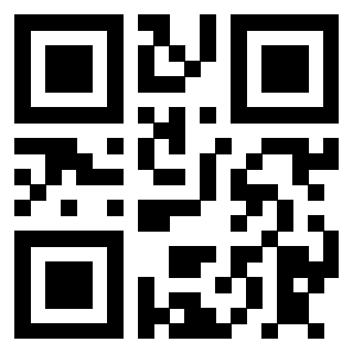 3910601063 Qr Code associato