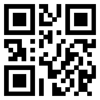 3910601079 - Immagine del Qr Code associato