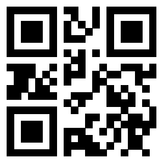 QrCode di 3910713253