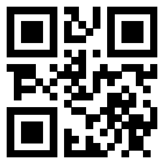 3910713295 Qr Code associato