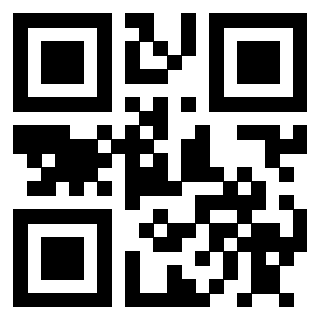 Il Qr Code di 3910713489
