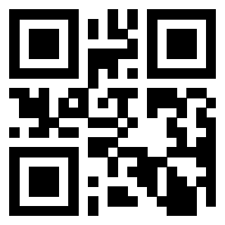 Il Qr Code di 3910716873