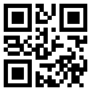 QrCode di 3910717335