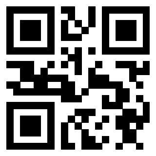 Il Qr Code di 3910985356