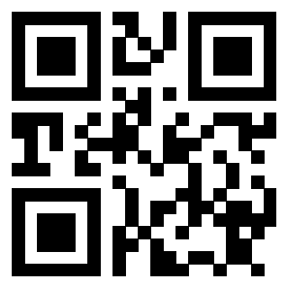3911004095 Qr Code associato