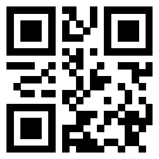 3911004313 QrCode associato