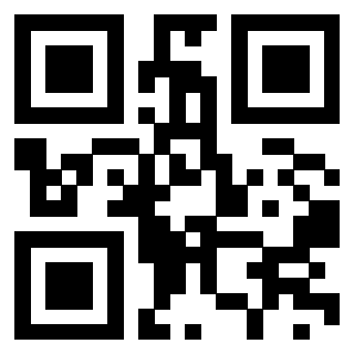 Il Qr Code di 3911004867
