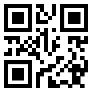 Il Qr Code di 3911004958