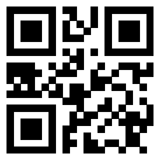 Il Qr Code di 3911005084