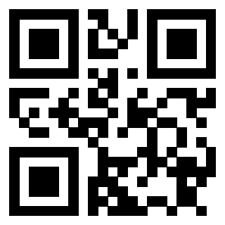 3911005095 Qr Code associato