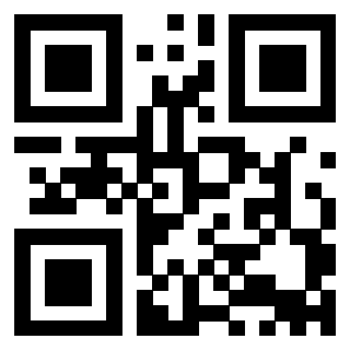 Il Qr Code di 3911005275