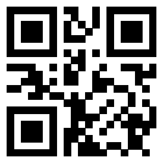 3911005310 QrCode associato