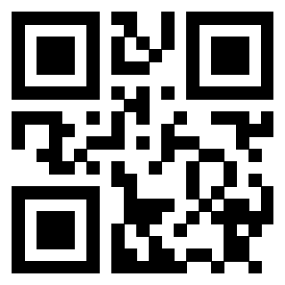 3911005346 QrCode associato