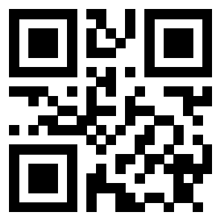 3911005349 Qr Code associato