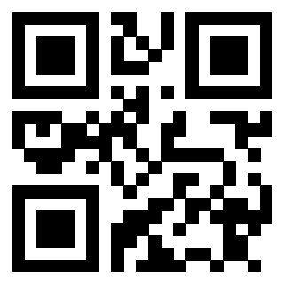 3911005409 - Immagine del Qr Code associato