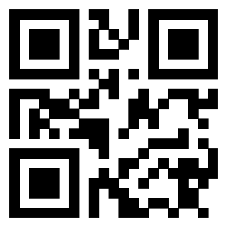 3911042110 Qr Code associato