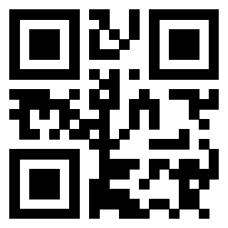 3911042553 Qr Code associato