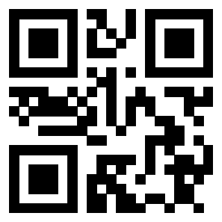 3911072517 Qr Code associato