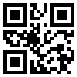 3911073000 Qr Code associato