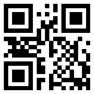 3911100024 QrCode associato