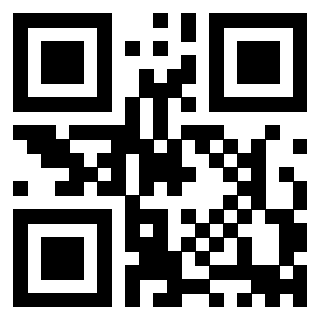 Il Qr Code di 3911100038