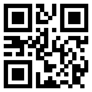 Il Qr Code di 3911100056