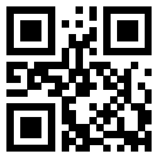 3911100079 Qr Code associato
