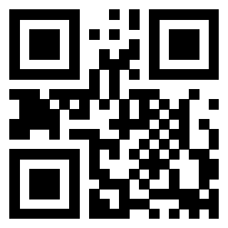 Il Qr Code di 3911100081