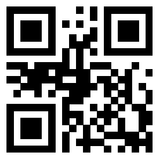 3911100119 QrCode associato