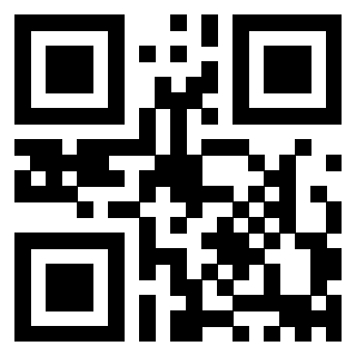 Il Qr Code di 3911100133
