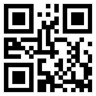 3911100166 - Immagine del Qr Code associato