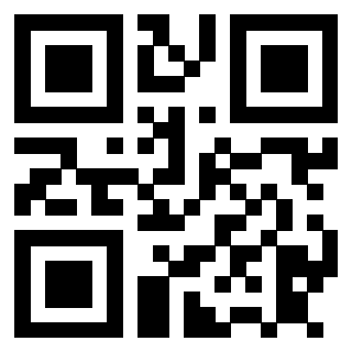 3911100249 QrCode associato