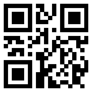 3911100256 QrCode associato