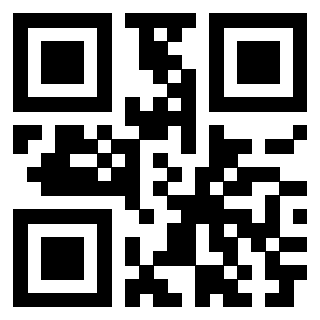 Il Qr Code di 3911100304