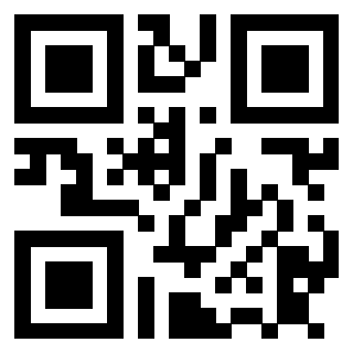 3911100308 Qr Code associato