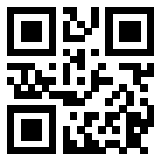 3911100333 - Immagine del Qr Code associato