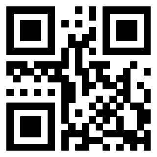 3911100381 Qr Code associato