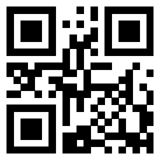 3911100404 Qr Code associato