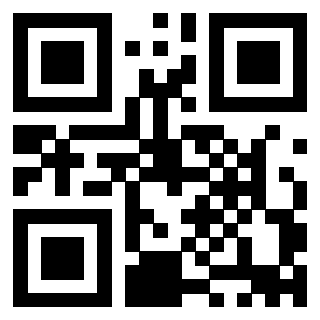 3911104002 Qr Code associato