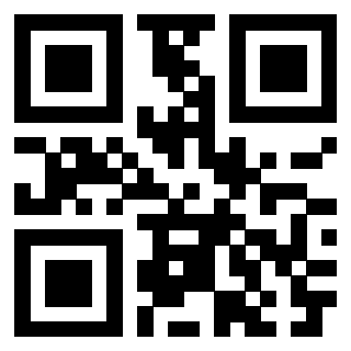 3911104100 - Immagine del Qr Code associato