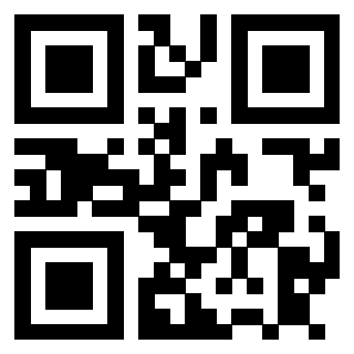 3911182529 Qr Code associato