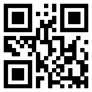 Il Qr Code di 3911182555
