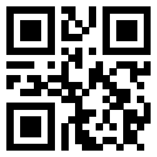 QrCode di 3911183113