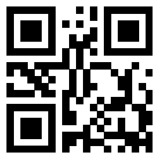 3911183160 Qr Code associato