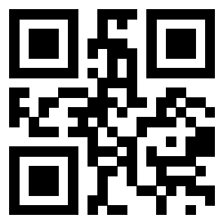 Il Qr Code di 3911187564