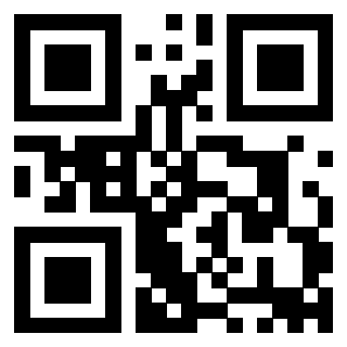 QrCode di 3911187886
