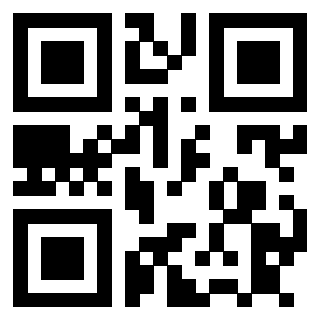 Il Qr Code di 3911187963