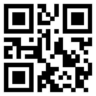 Il Qr Code di 3911188496