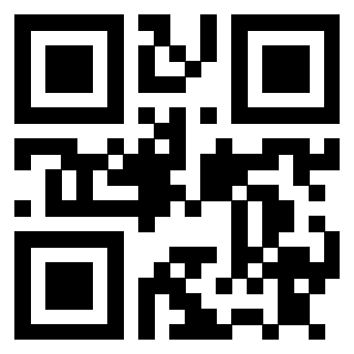 3911210817 QrCode associato