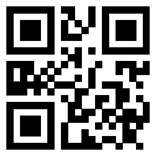 3911210919 QrCode associato